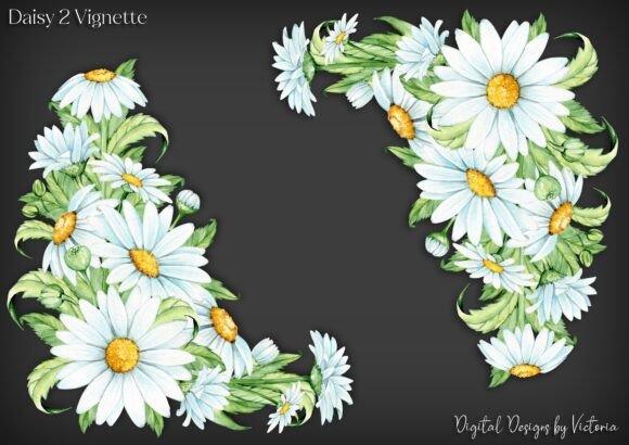 Daisy Vignette: A Delicate Touch for Creative Projects