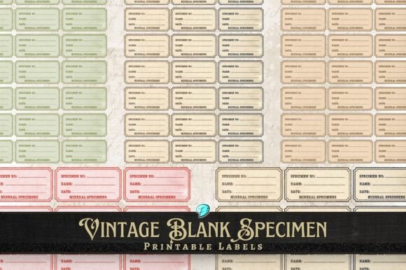 Vintage Blank Specimen Labels for Creative Projects